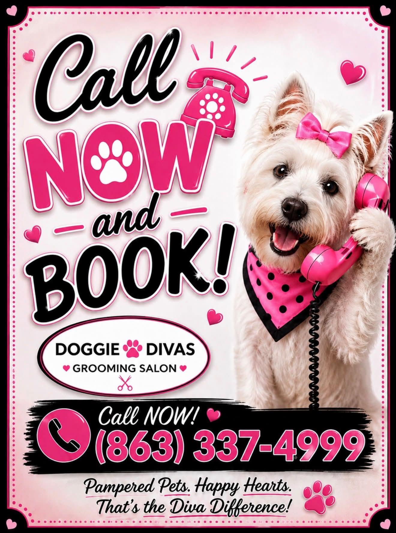 Doggie Divas Grooming Salon — Pet Store Pet Supplies Pet Services in Lakeland, FL