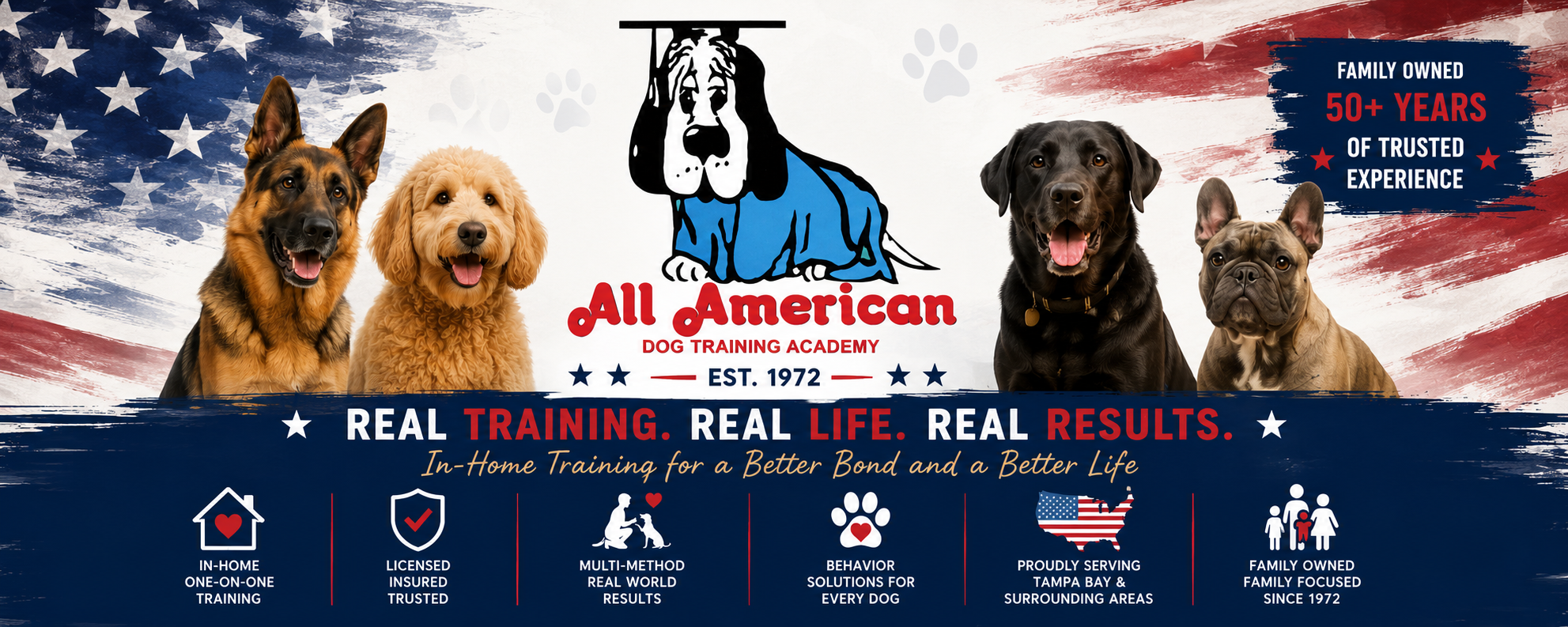All American Dog Training Academy — Dog Training in Valrico, FL