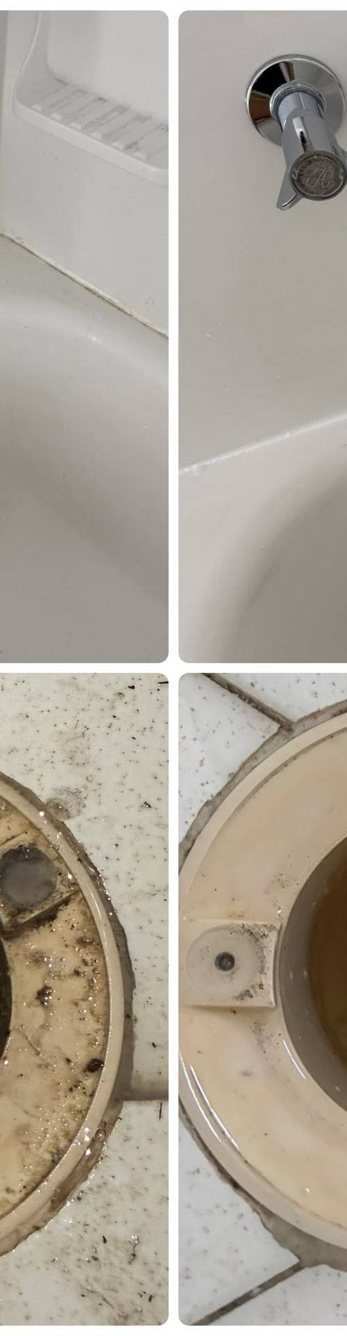 Southern Suds and More gallery photo 6