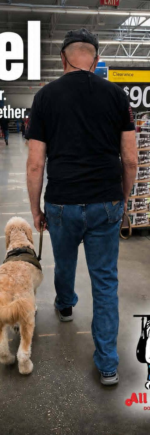All American Dog Training Academy gallery photo 9